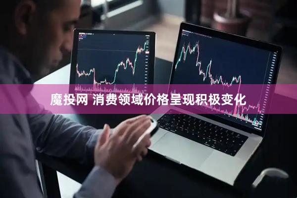魔投网 消费领域价格呈现积极变化