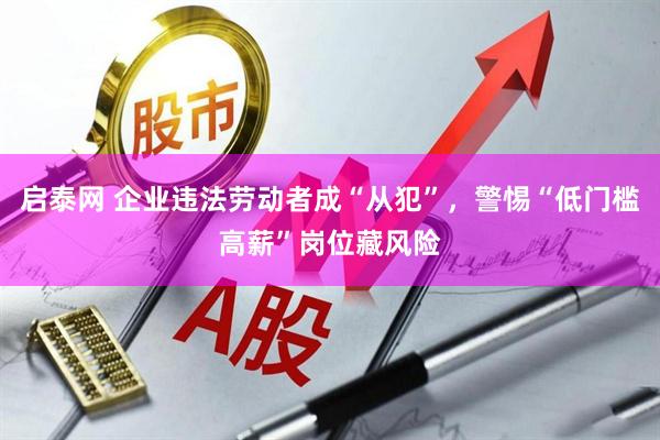 启泰网 企业违法劳动者成“从犯”，警惕“低门槛高薪”岗位藏风险