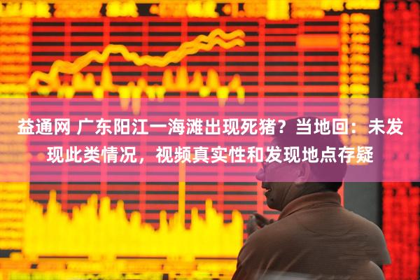 益通网 广东阳江一海滩出现死猪？当地回：未发现此类情况，视频真实性和发现地点存疑