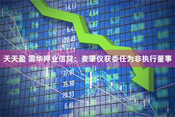 天天盈 霭华押业信贷：麦肇仪获委任为非执行董事
